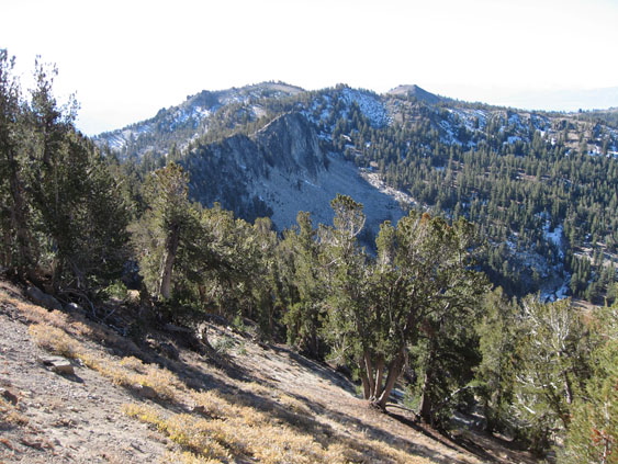 Backside of Rose Knob Peak